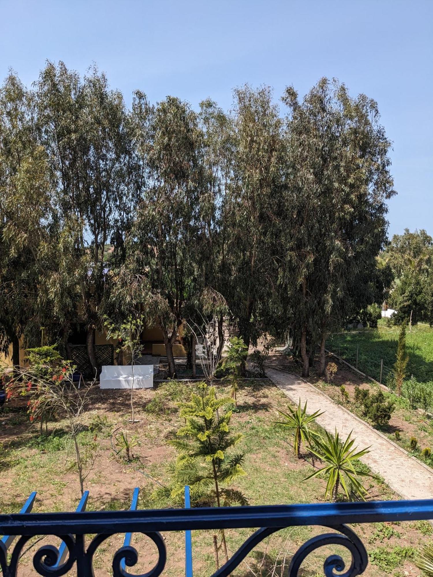 אזמור Mesdunes מראה חיצוני תמונה