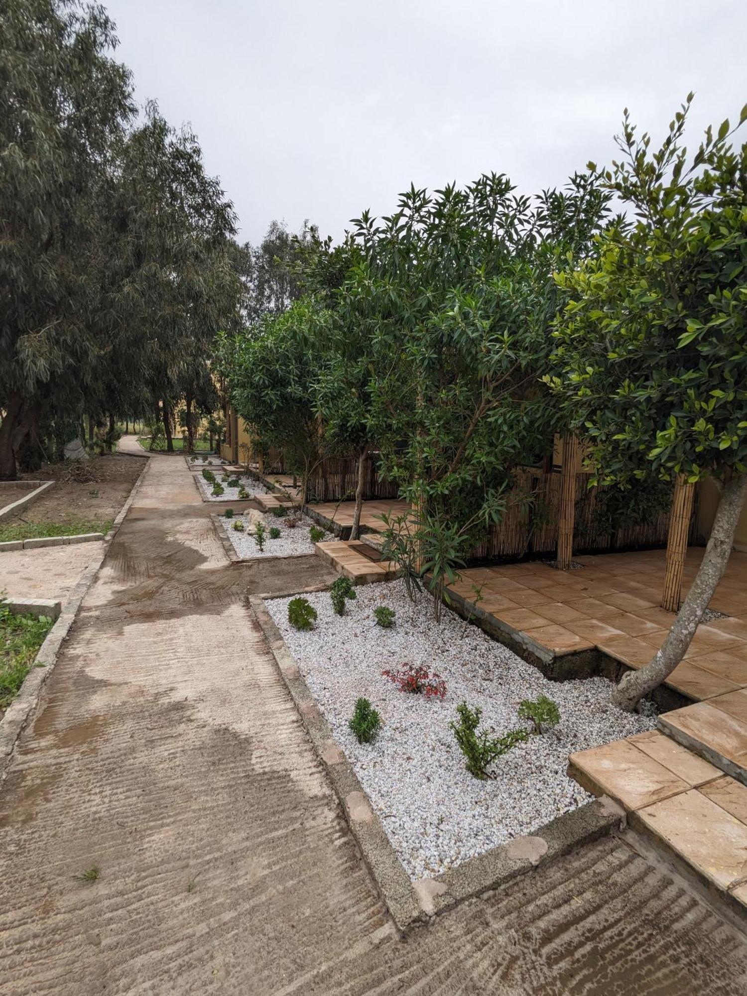 אזמור Mesdunes מראה חיצוני תמונה