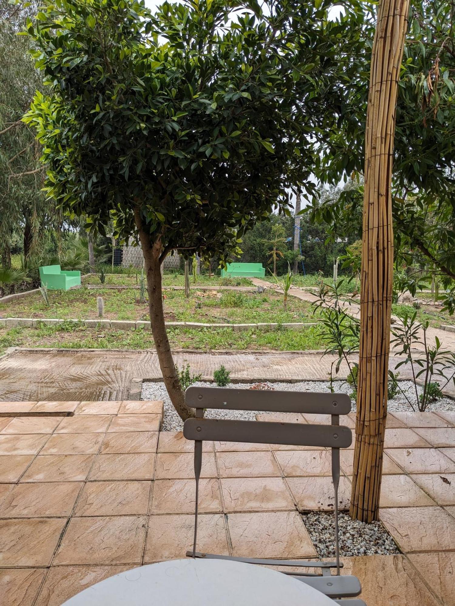 אזמור Mesdunes מראה חיצוני תמונה